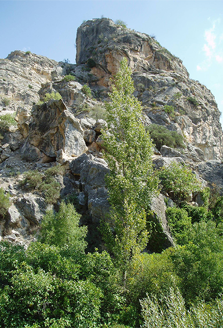 Cortijo Rural Santa Ana